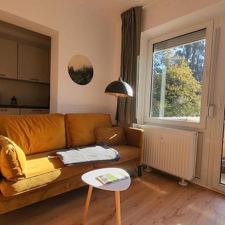 Ferienwohnung Berglodge 11 Hahnenklee Bockswiese Goslar Exterior foto